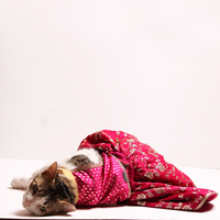 Barbie Twist (Cat)