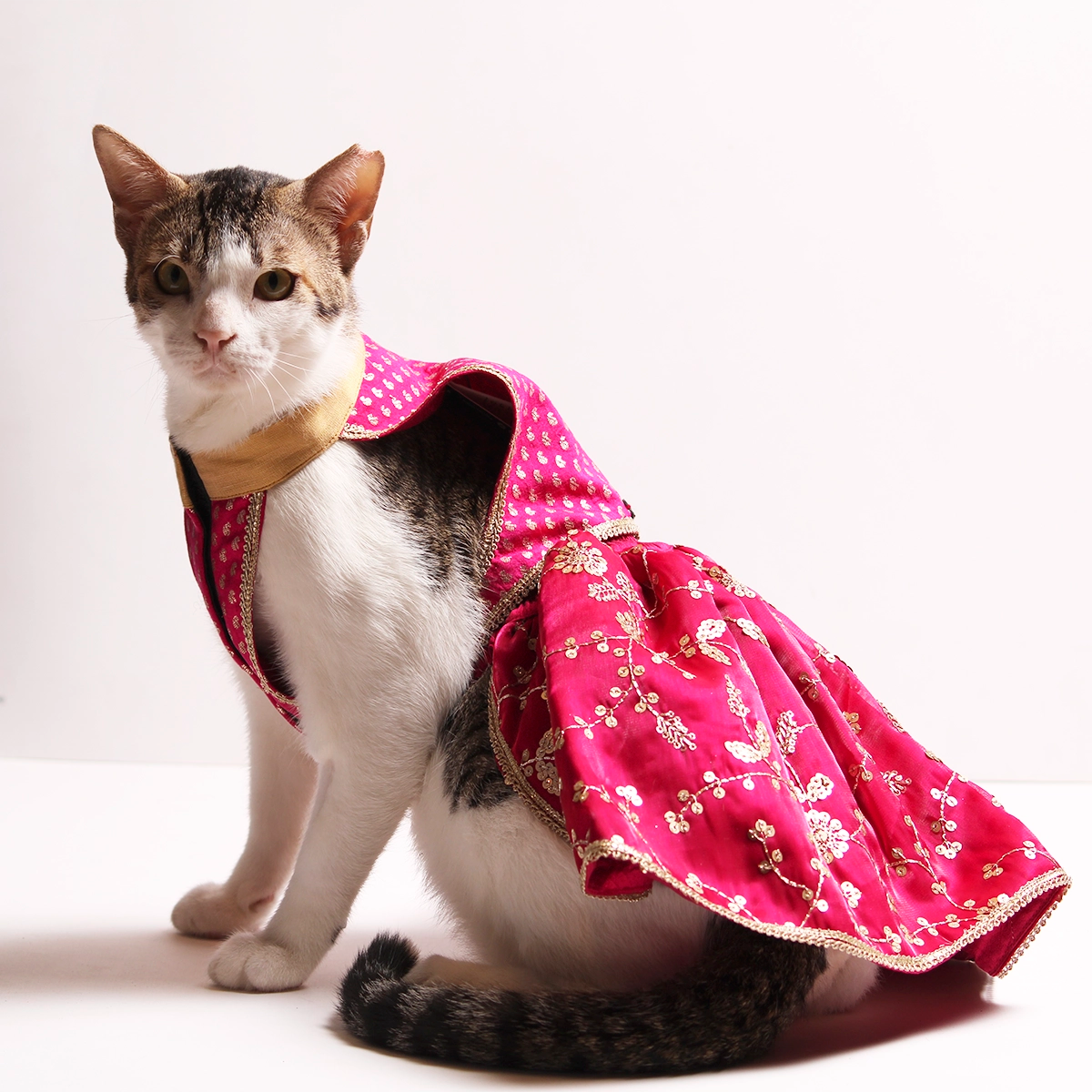 Barbie Twist (Cat)