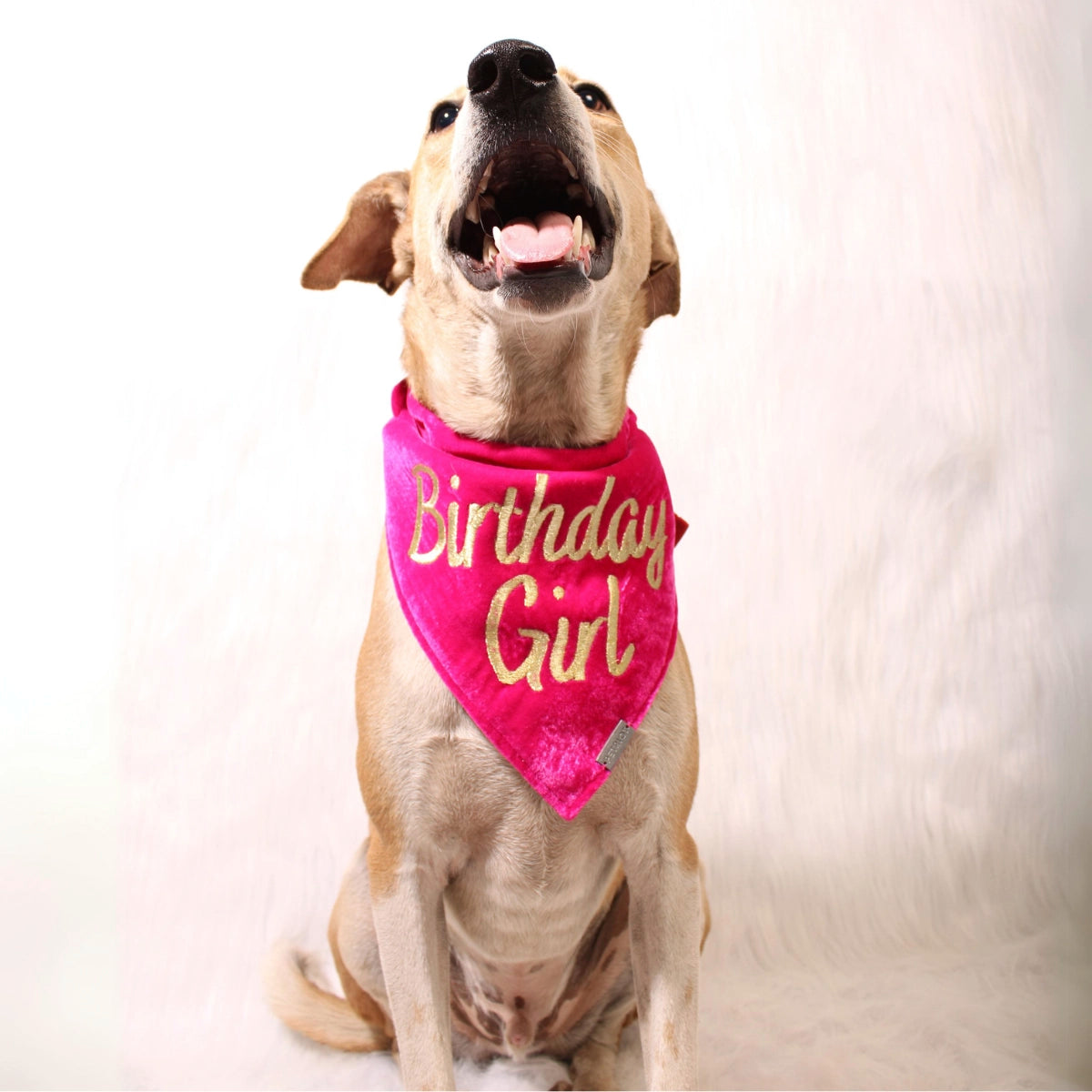 Birthday Girl