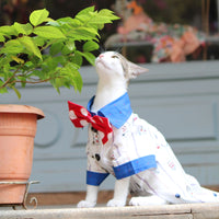 Birthday Shirt (Cat)