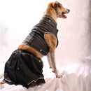 Black Minis(Dog)