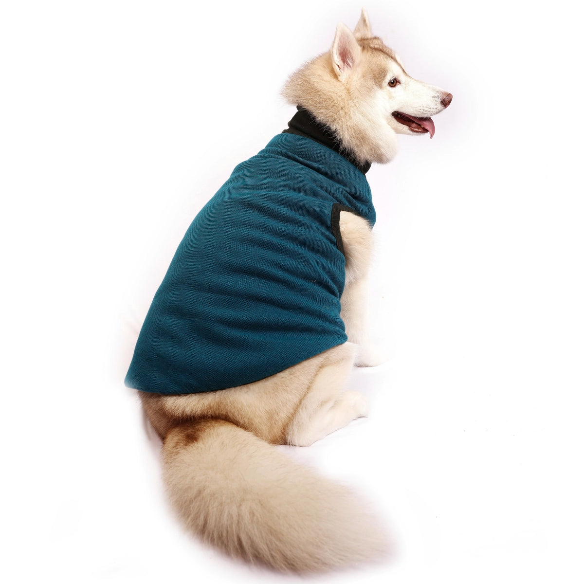 Blue Self Polo(Dog)