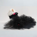 Black Swan(Dog)