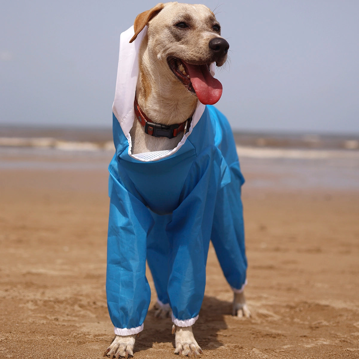 Sky Blue Rainromper