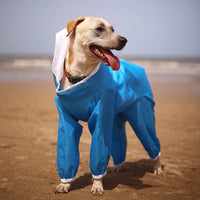 Sky Blue Rainromper