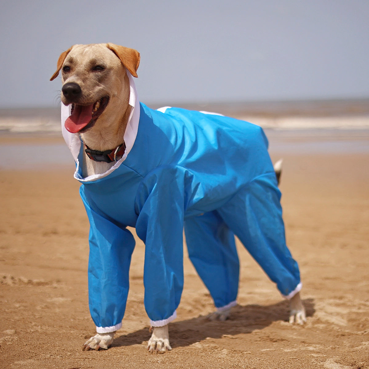 Sky Blue Rainromper