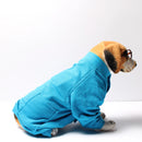 Blue Onesis (Dog)