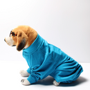 Blue Onesis (Dog)
