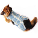 Blue Tartan(Dog)