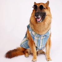 Blue Tartan(Dog)