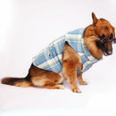 Blue Tartan(Dog)