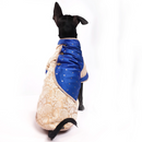 Bluey Gold (Dog)