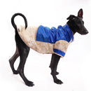 Bluey Gold (Dog)