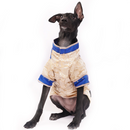 Bluey Gold (Dog)