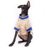 Bluey Gold (Dog)