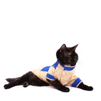 Bluey Gold (Cat)