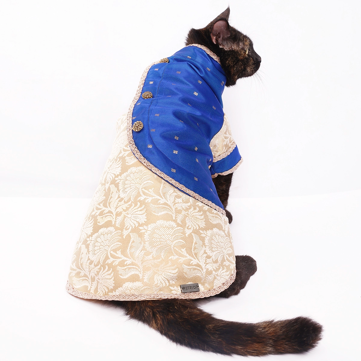 Bluey Gold (Cat)