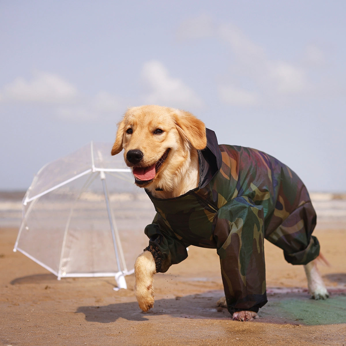 Cameoflauger Rainromper(Dog)