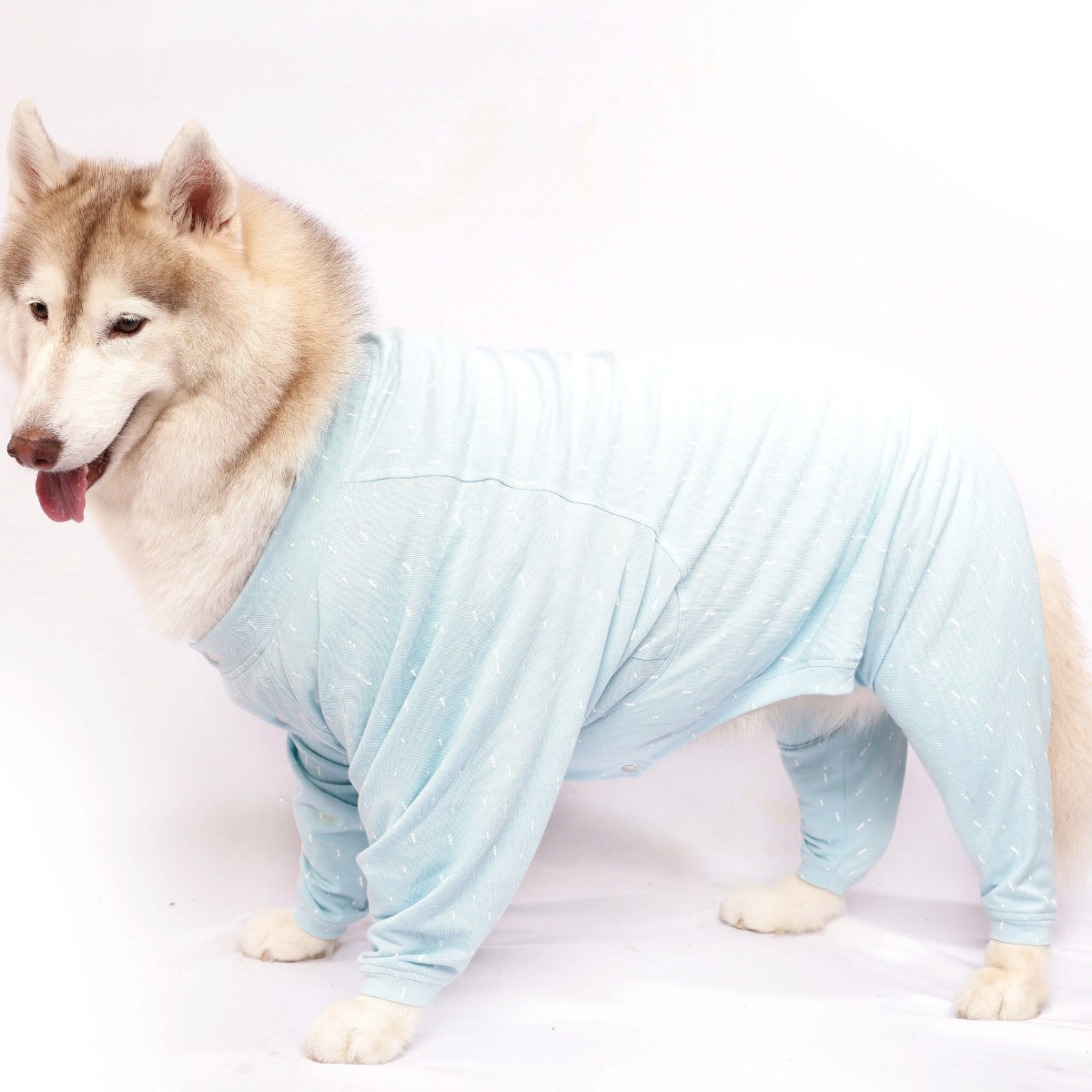 Cloudy Onesis(Dog)
