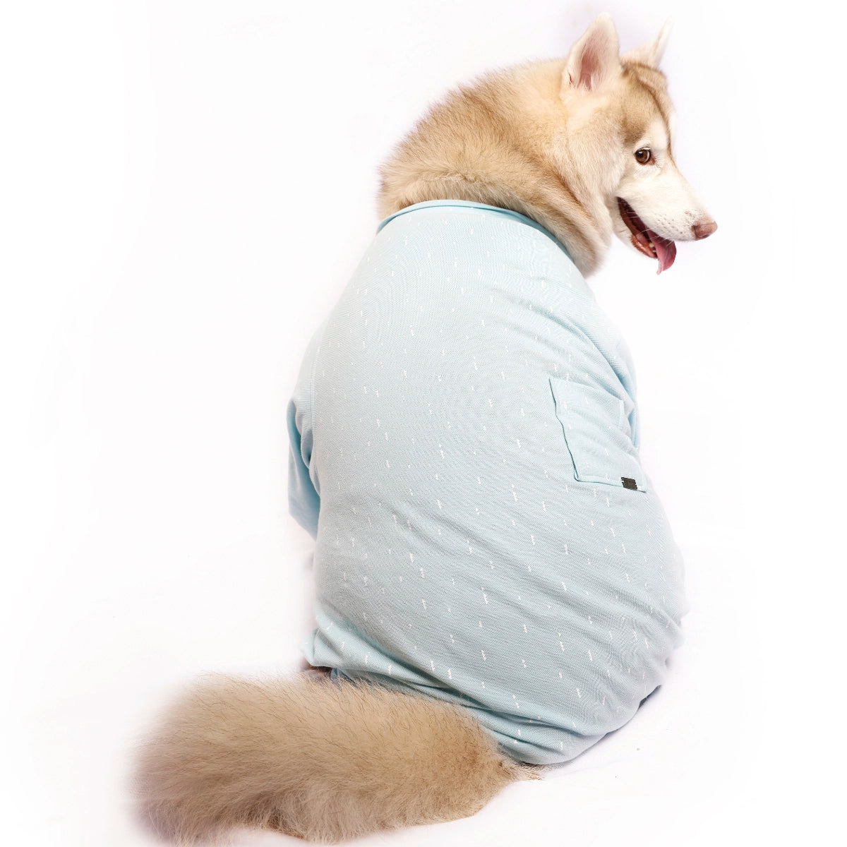 Cloudy Onesis(Dog)