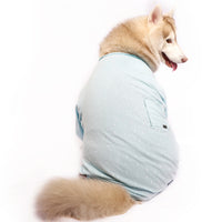 Cloudy Onesis(Dog)