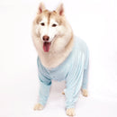 Cloudy Onesis(Dog)