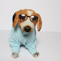 Cloudy Onesis(Dog)