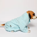 Cloudy Onesis(Dog)