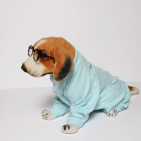 Cloudy Onesis(Dog)