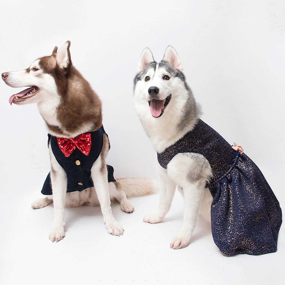 Corduroy Blue(Dog)