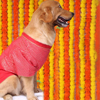 Crimson Red(Dog)
