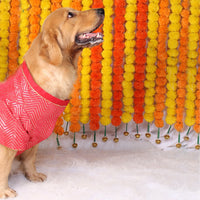 Crimson Red(Dog)