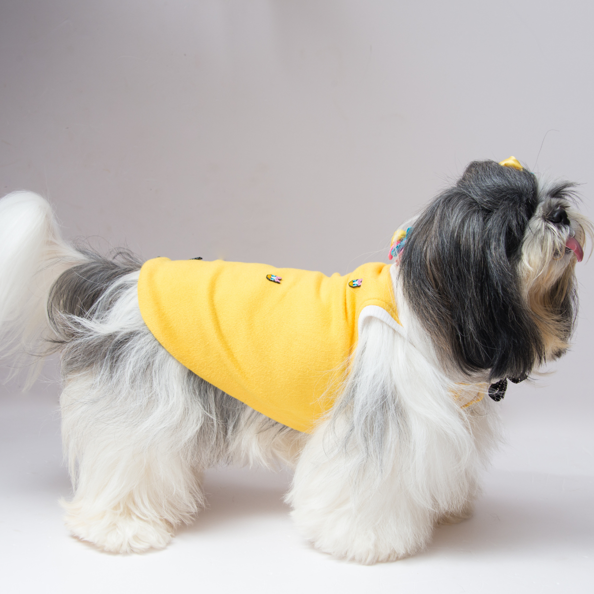 DaisyTee(Dog)