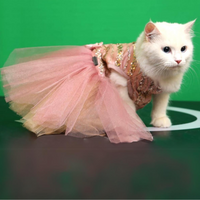 Sparkle (Cat)
