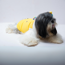 DaisyTee(Dog)