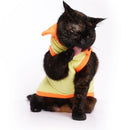 Donald Duck(Cat)