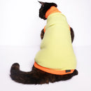 Donald Duck(Cat)