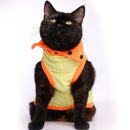 Donald Duck(Cat)