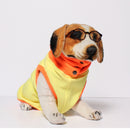 Donald Duck(Dog)