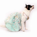 Dreamy Blue(Dog)
