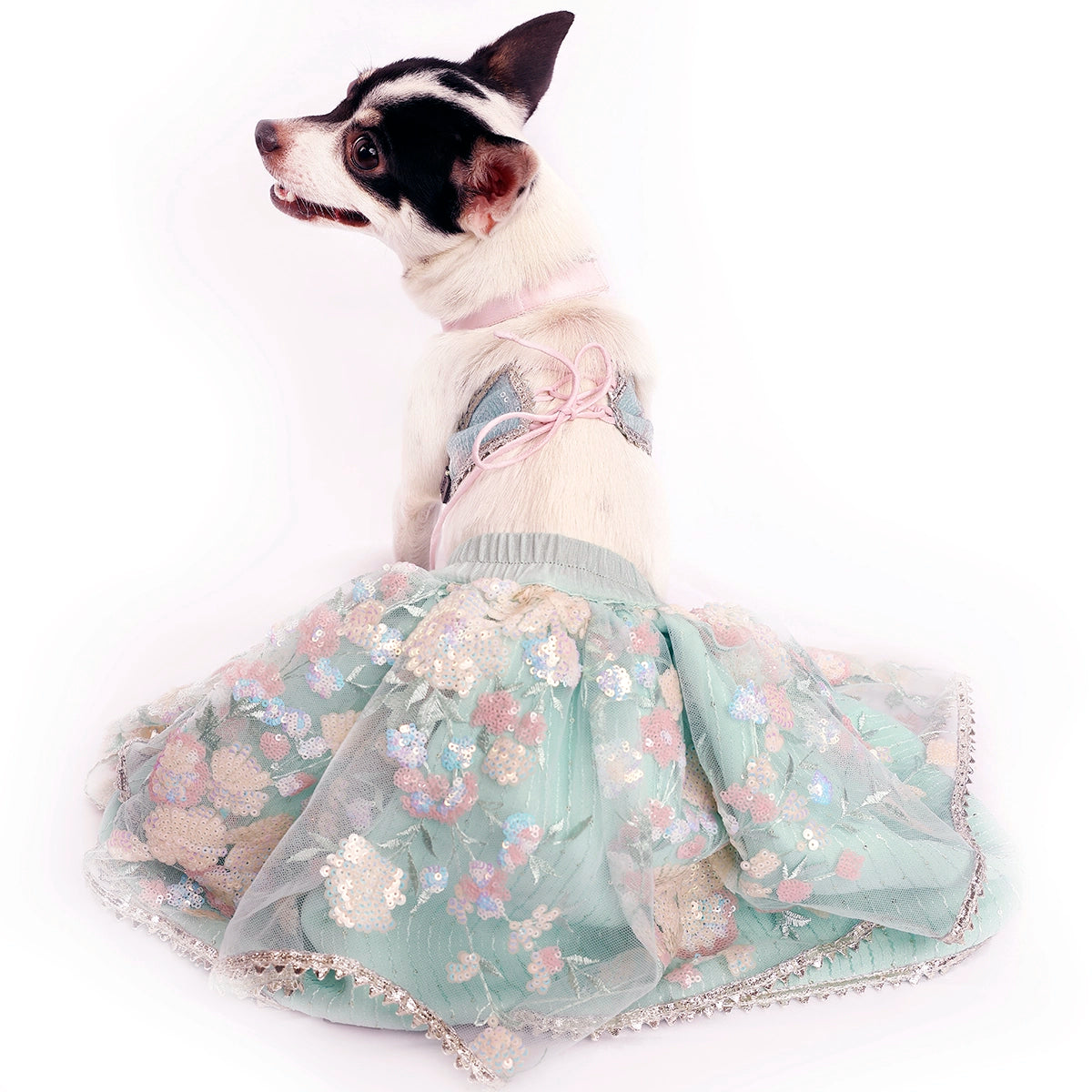 Dreamy Blue(Dog)