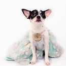 Dreamy Blue(Dog)