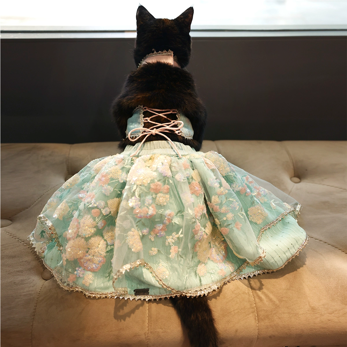 Dreamy Blue(Cat)