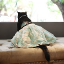 Dreamy Blue(Cat)