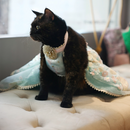 Dreamy Blue(Cat)