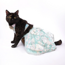 Dreamy Blue(Cat)