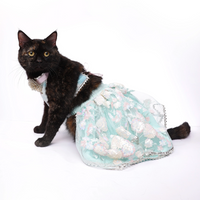 Dreamy Blue(Cat)