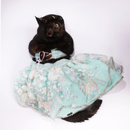 Dreamy Blue(Cat)
