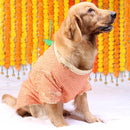 Dual Tone(Dog)