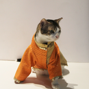 Dual Tone(Cat)